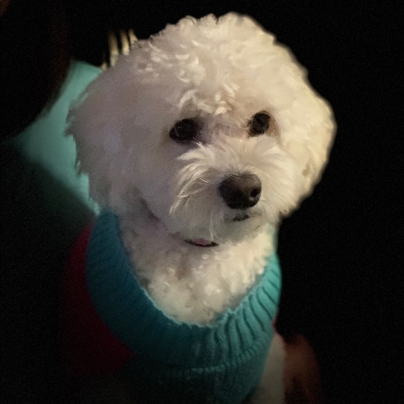 Meet the Posher Other - Meet your Posher, Frances and Joal.